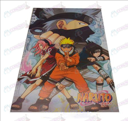 D42 * 29 Naruto reliëf affiches (8)