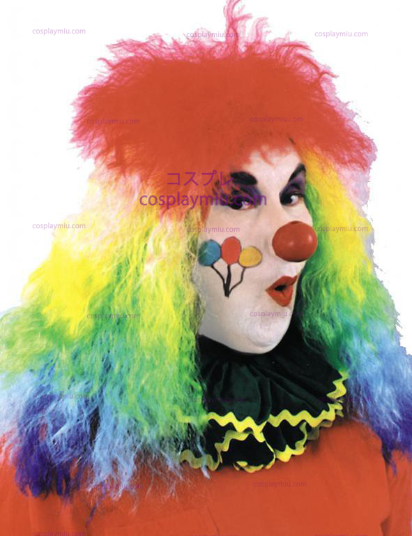 Rainbow Curly Clown pruik