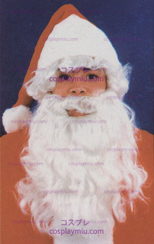 Kerstman Wig & Beard, Child