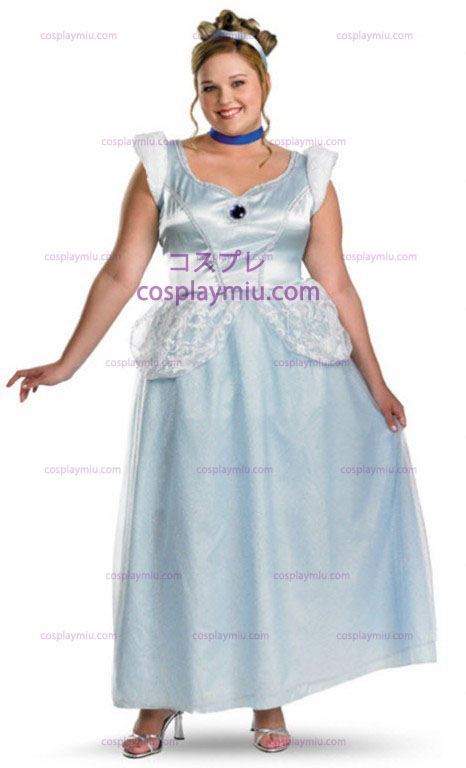 Plus Size Adult Cinderella Kostuum