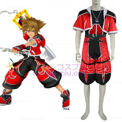 Kingdom Hearts 2 Sora Brave Form Cosplay Kostuum
